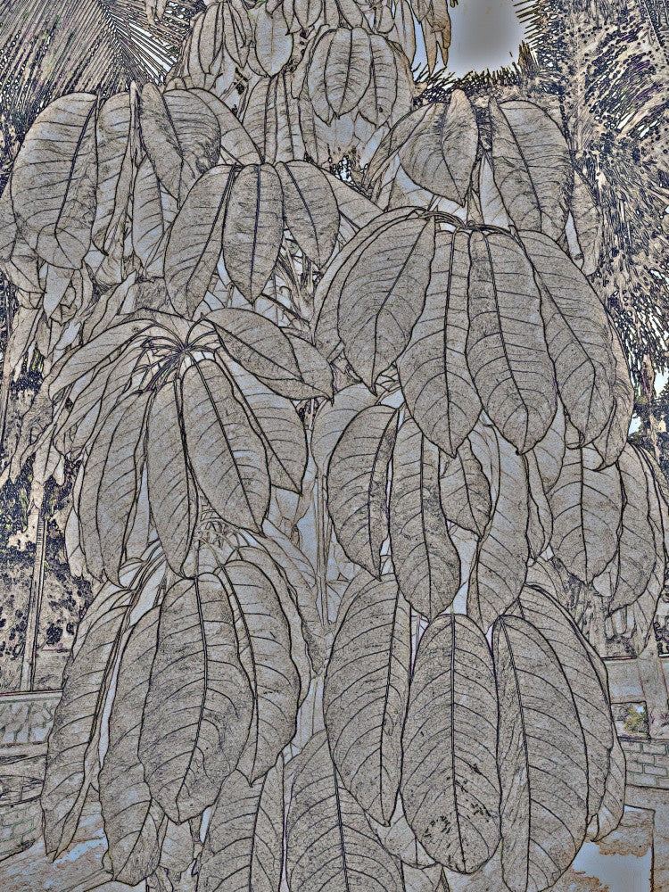 Leafy Abstraction