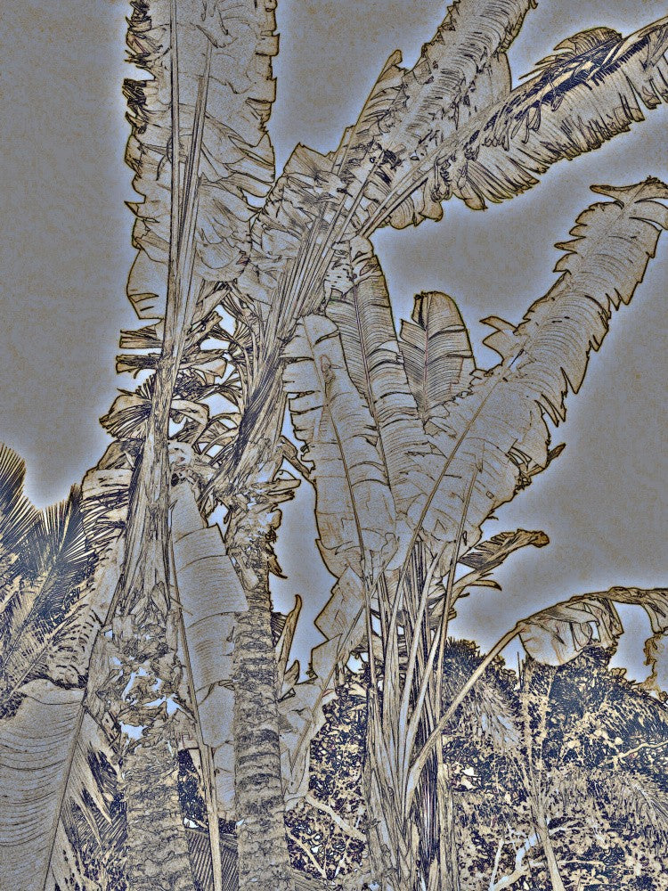 Ethereal Palms