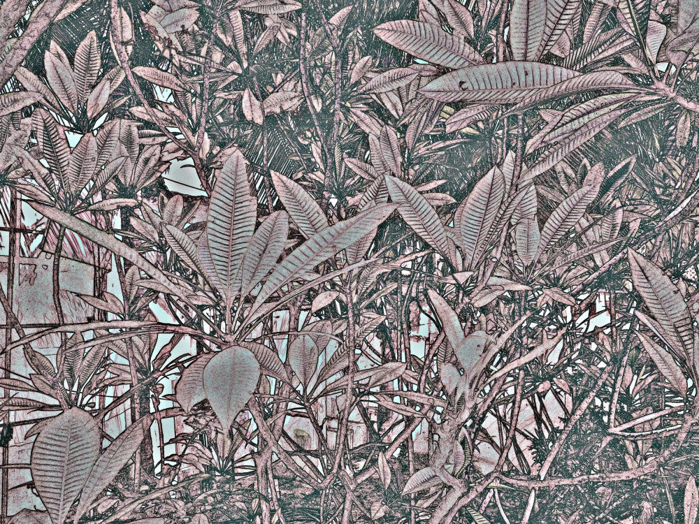Foliage Intricacies