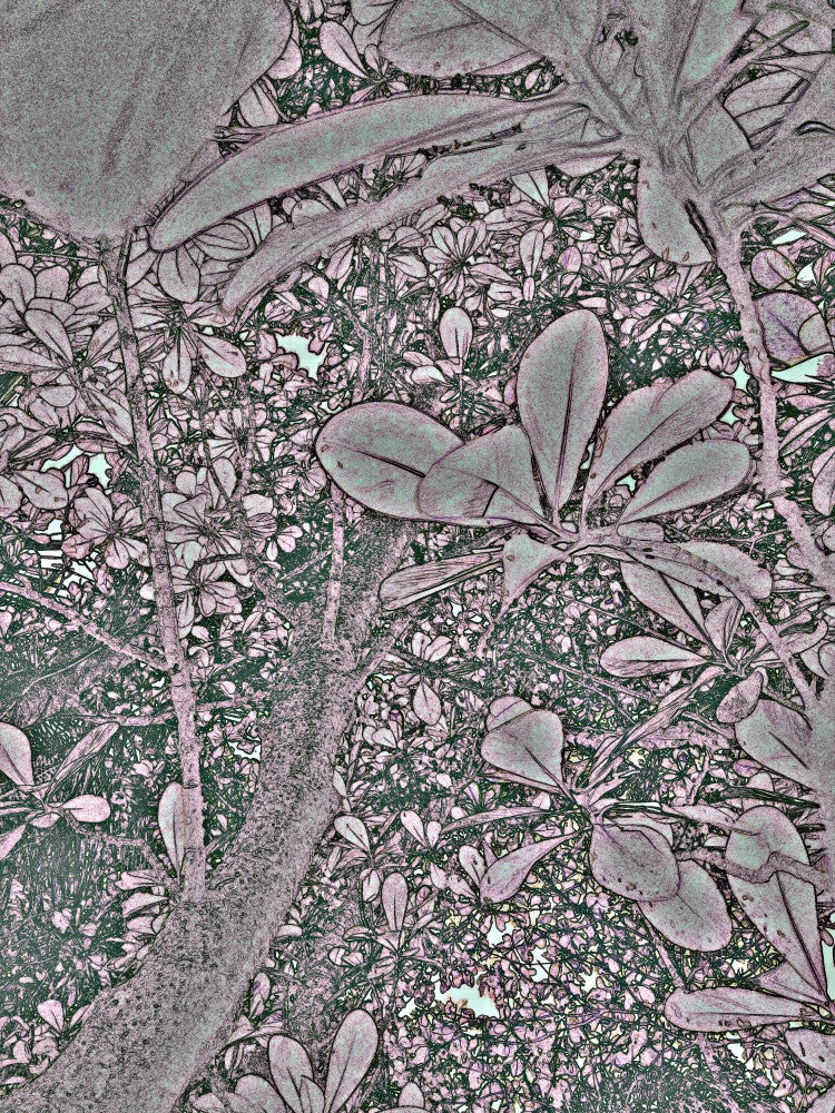 Whimsical Foliage