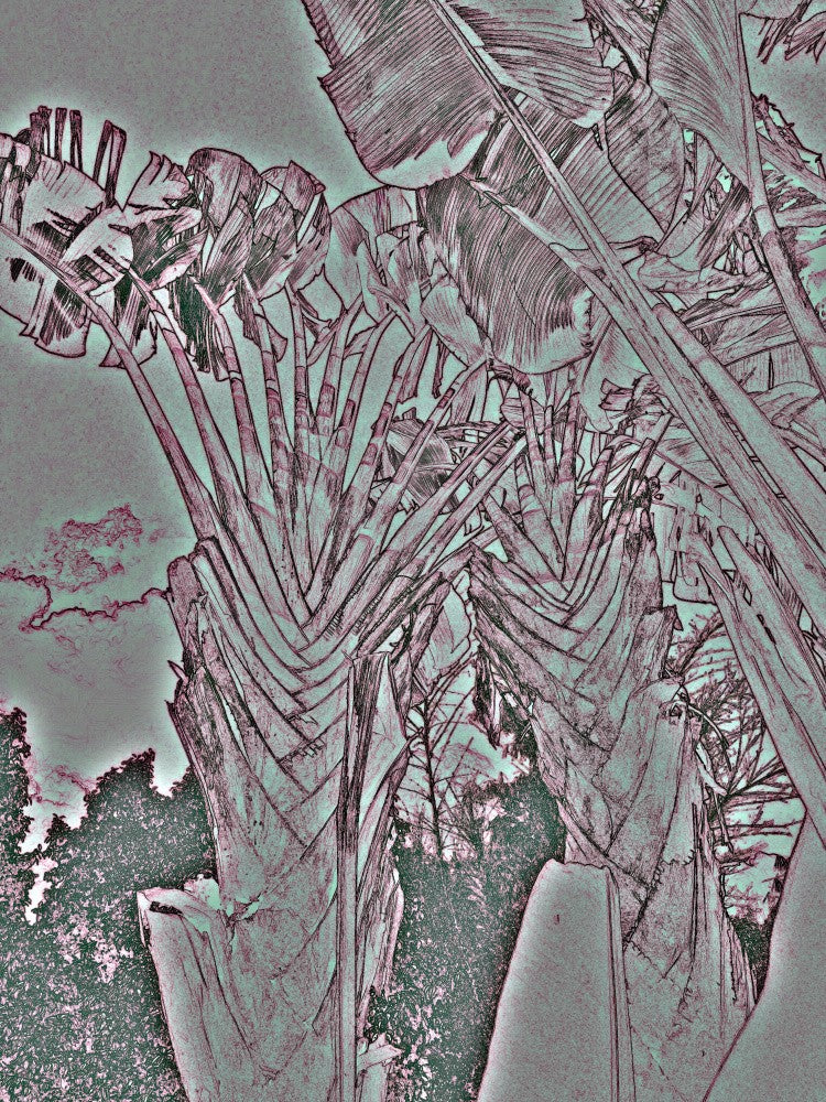 Metallic Palms