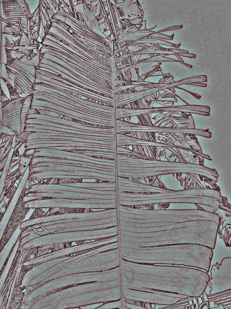 Tropical Leaf Lines