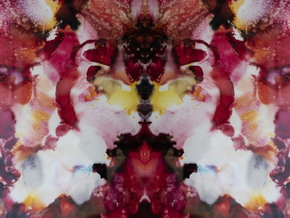 1 Can Exp 300dpi 9x12