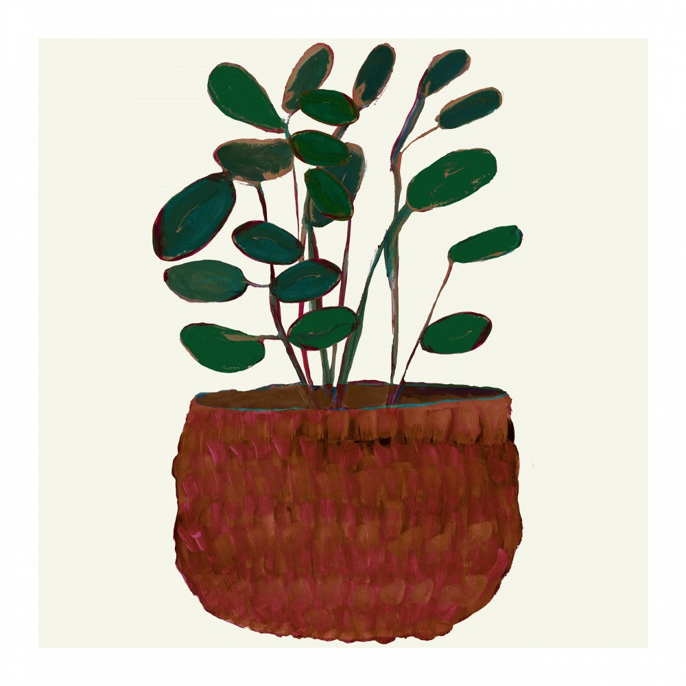 Plant 3