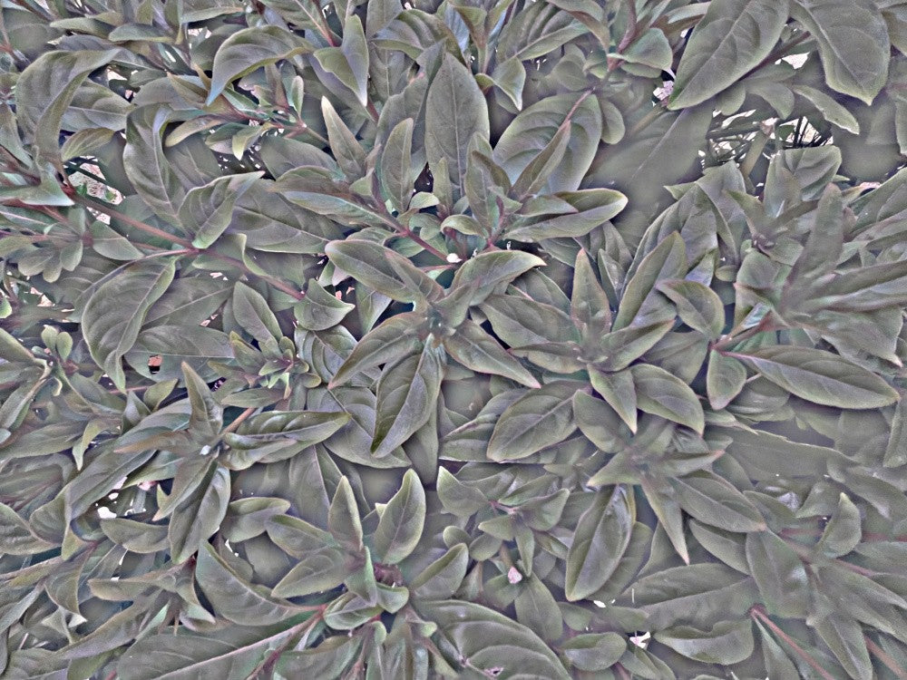 Muted Leaf Tapestry