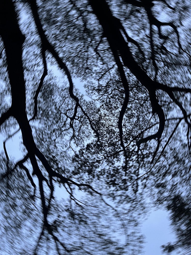 Spiraling Canopy