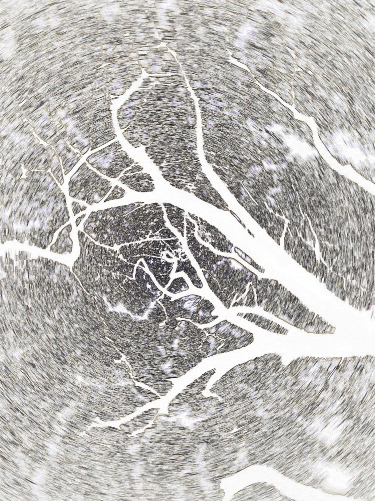 Fractal Veins