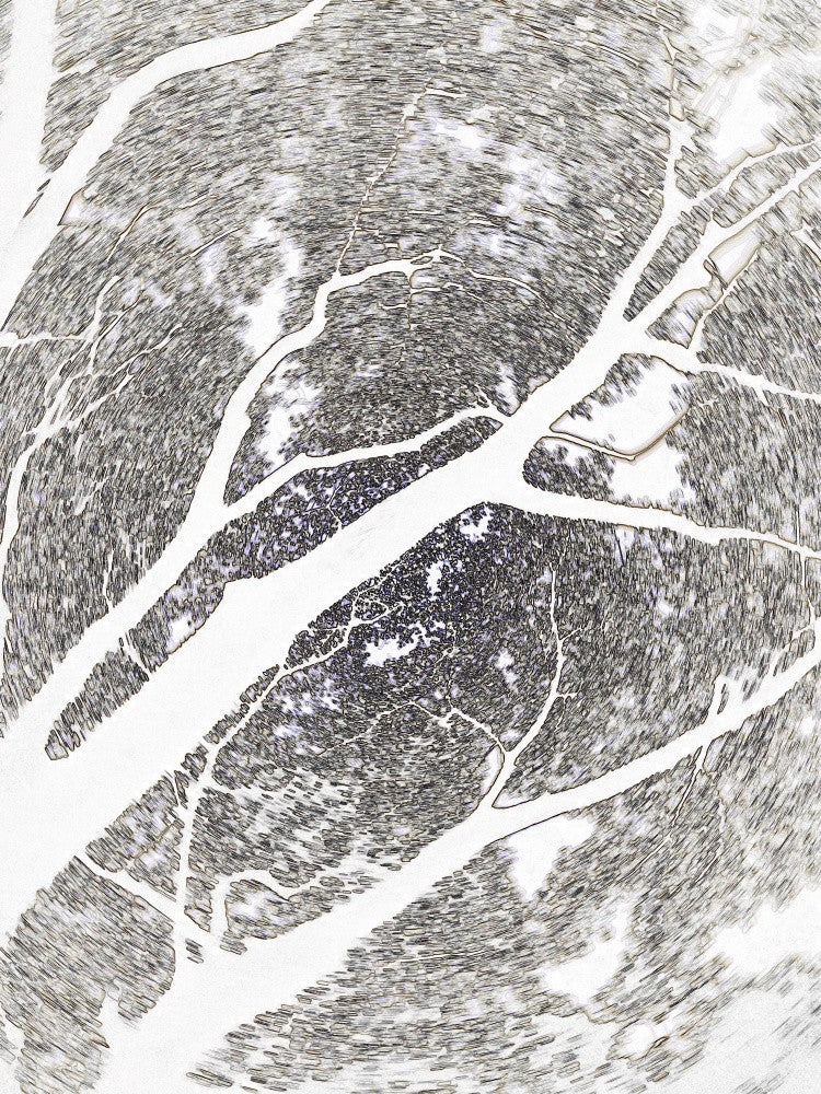 Nature's Veins