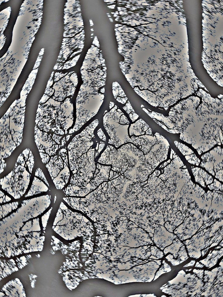 Branches in Swirl
