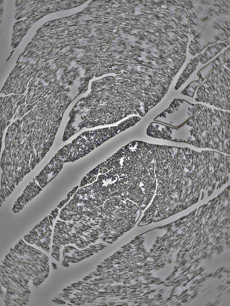 Veins of the Earth