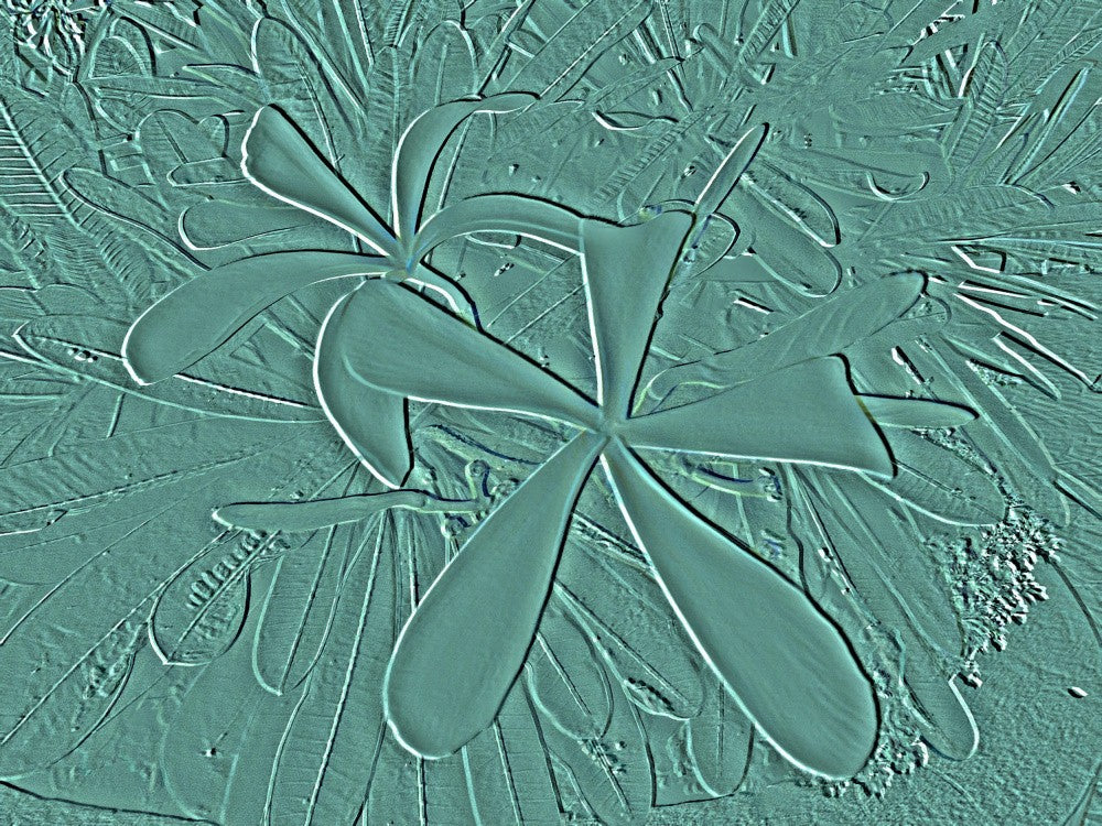 Mint Leaf Imprint