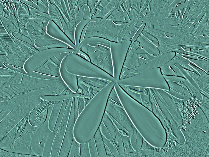 Mint Leaf Imprint