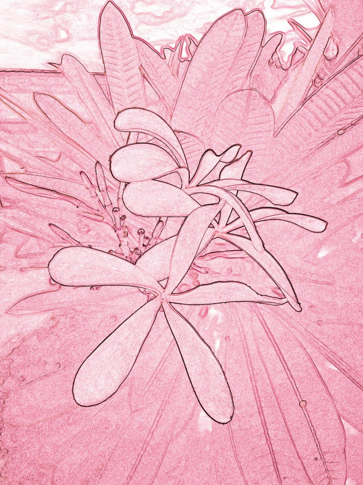Flora 559