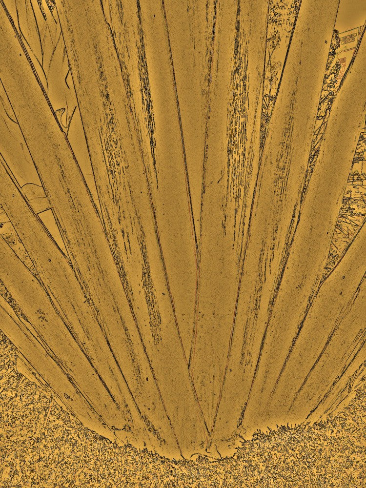 Golden Leaf Burst