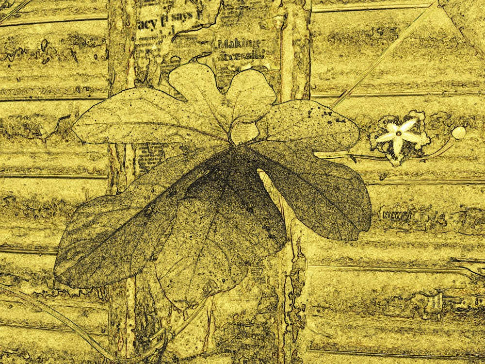 Golden Leaf Whispers