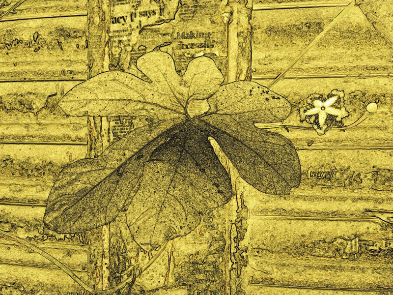Golden Leaf Whispers