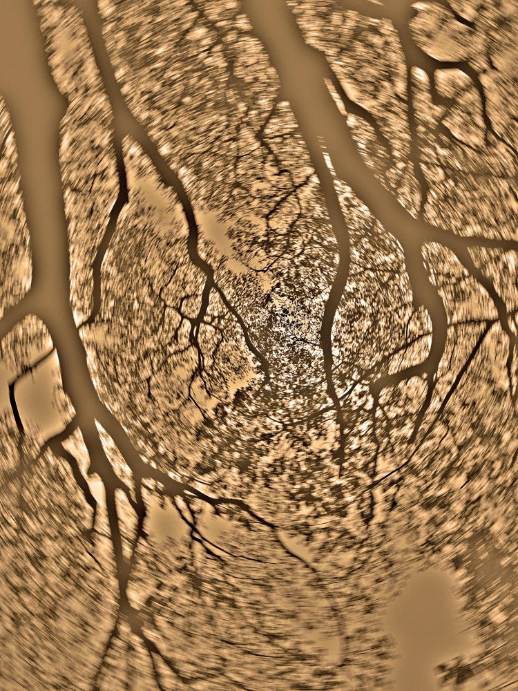 Twisting Branches