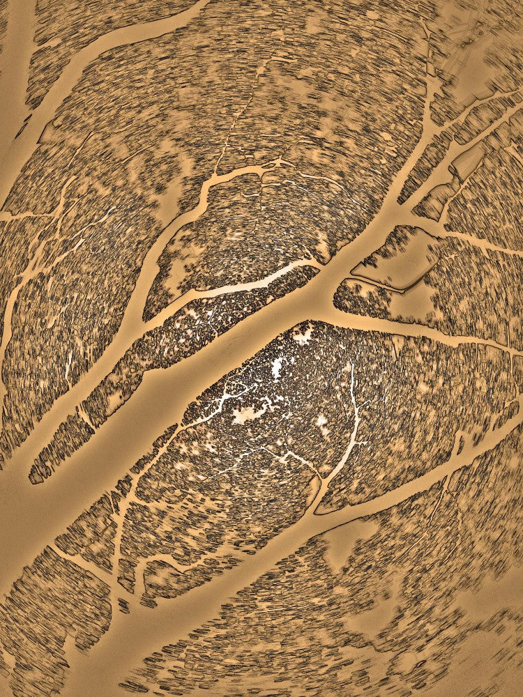Veins of the Earth