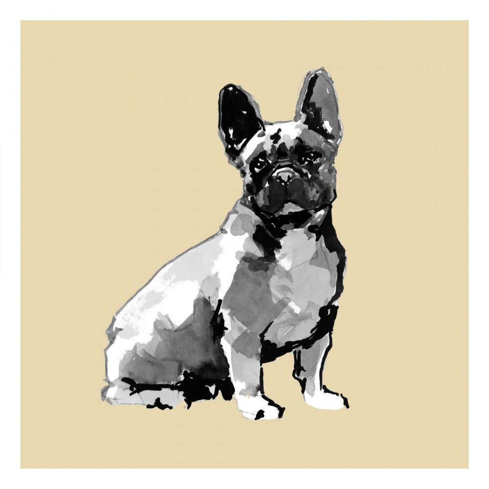 Un Chien Très Moderne N°8