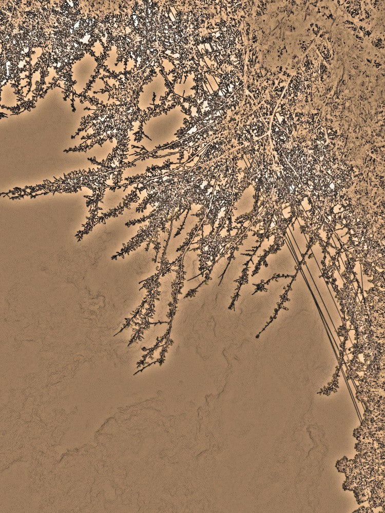 Fractal Tree Elegance