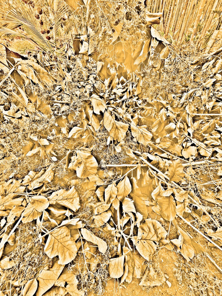 Golden Foliage Burst
