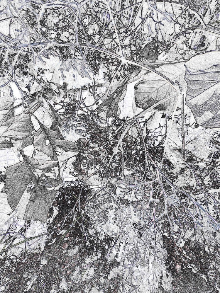Leafy Intertwine
