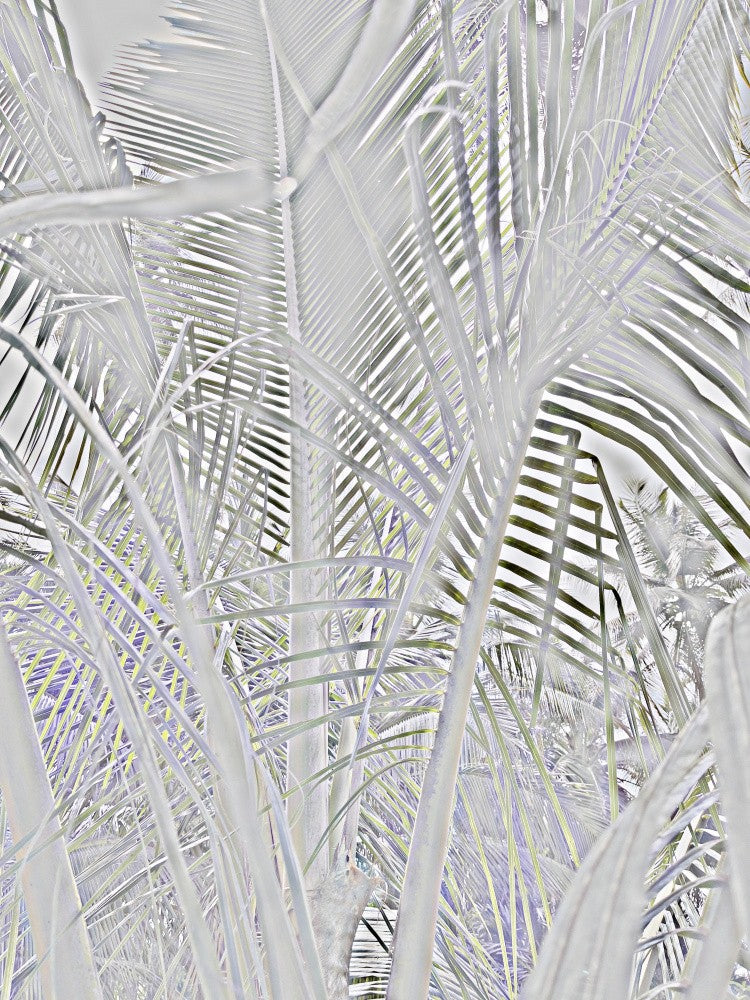 Silver Jungle Maze