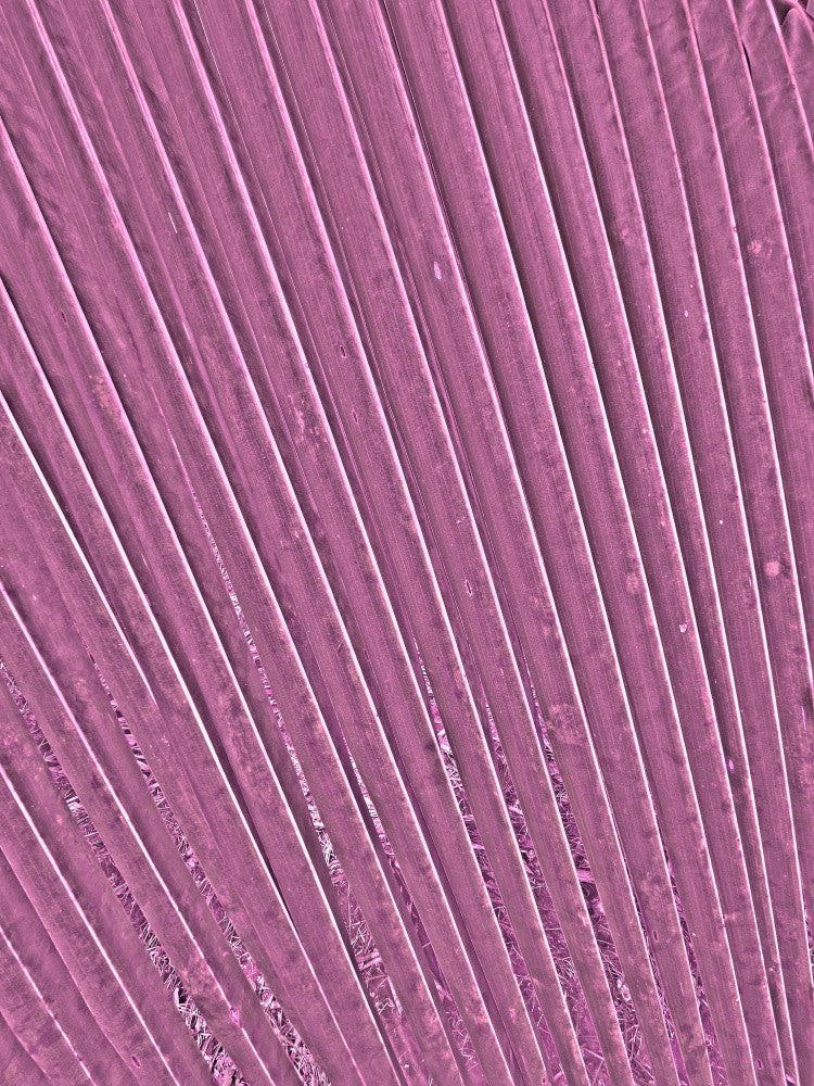 Pink Leaf Symphony