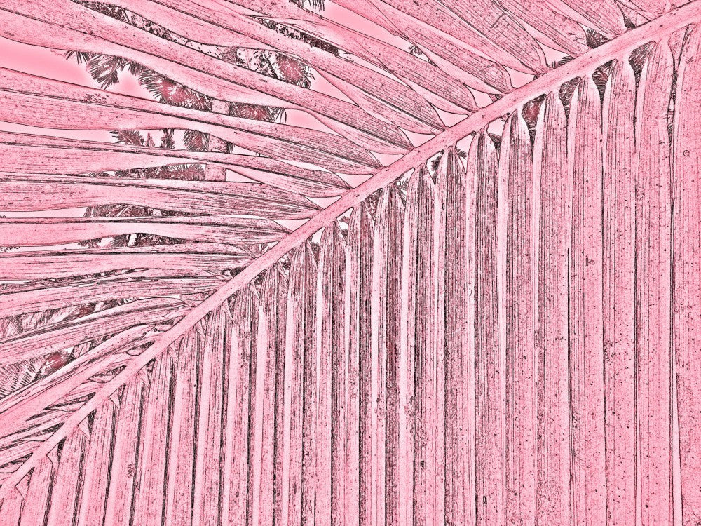 Pink Palm Pattern
