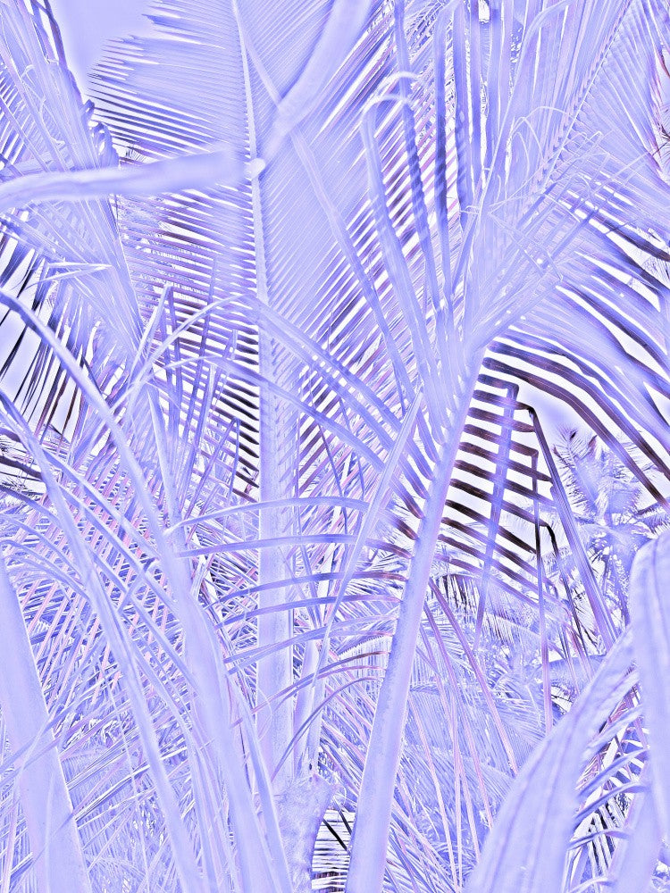 Violet Leaves Maze
