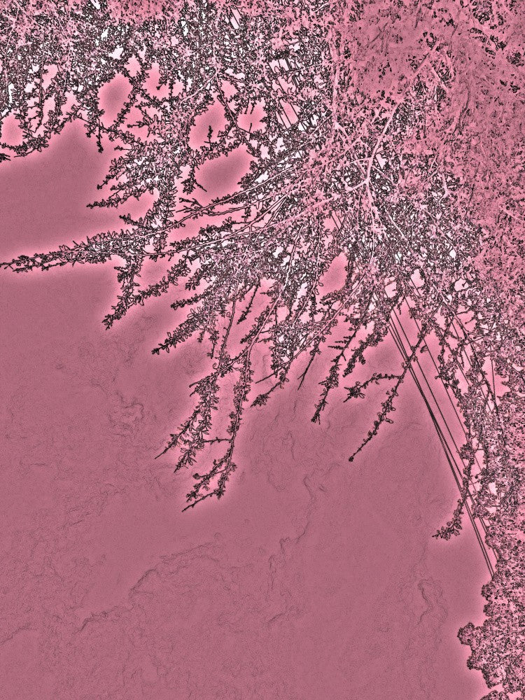 Crimson Veins