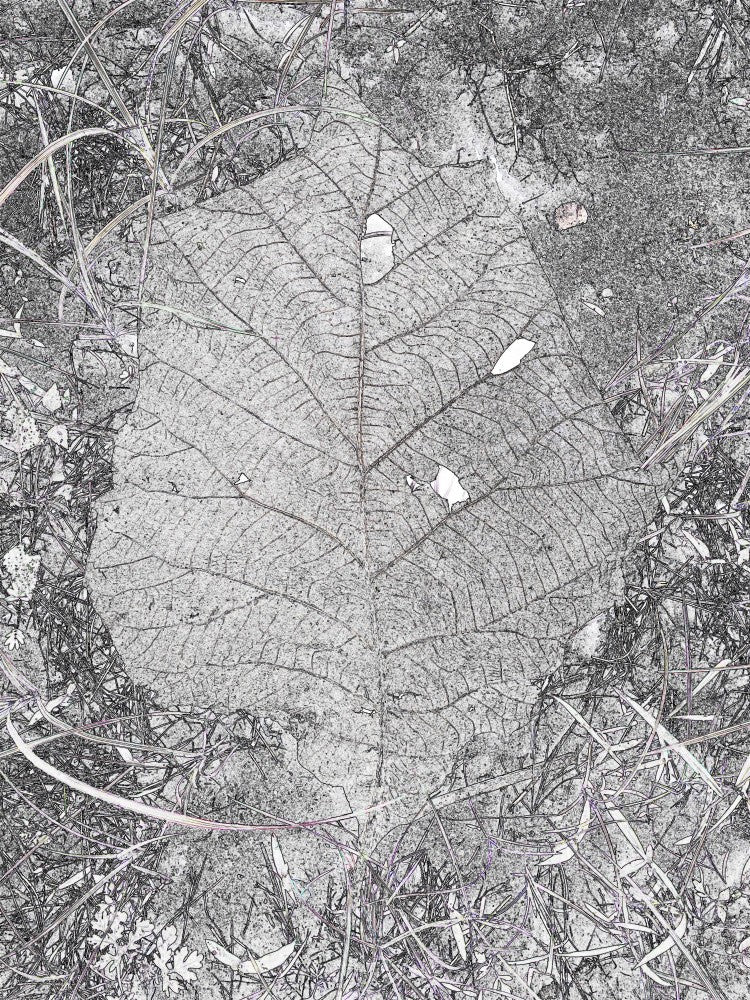 Leaf in Earth Tones