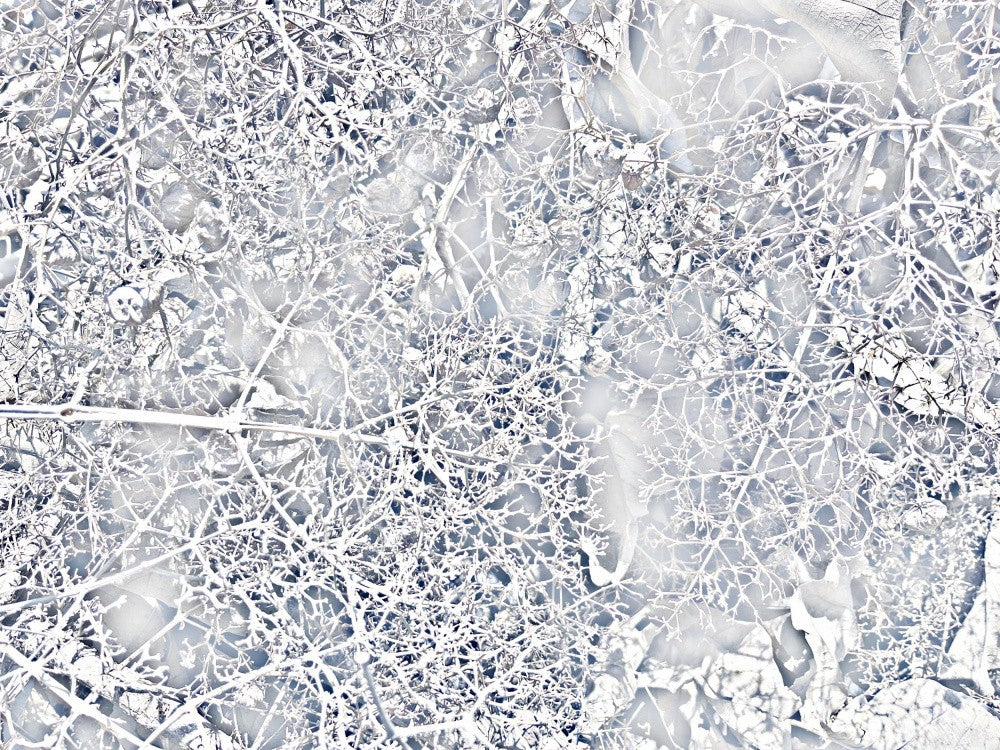 Winter's Lacework