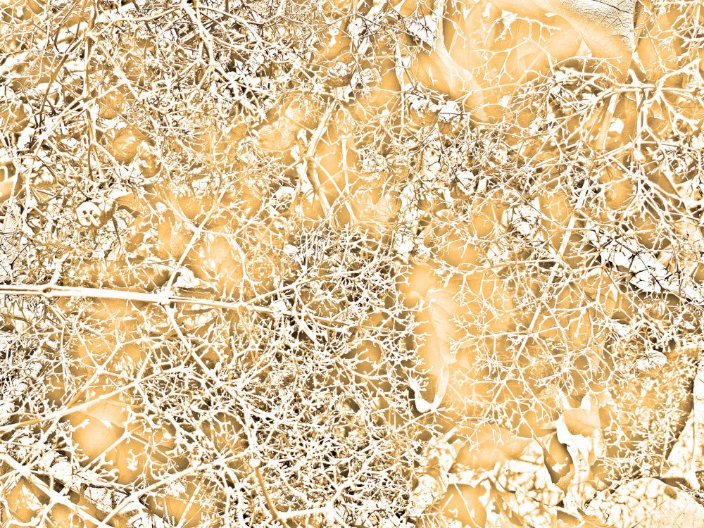 Golden Branch Maze