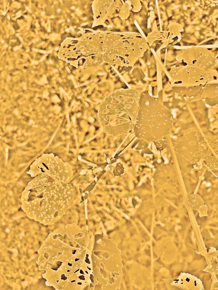 Golden Leaf Tapestry