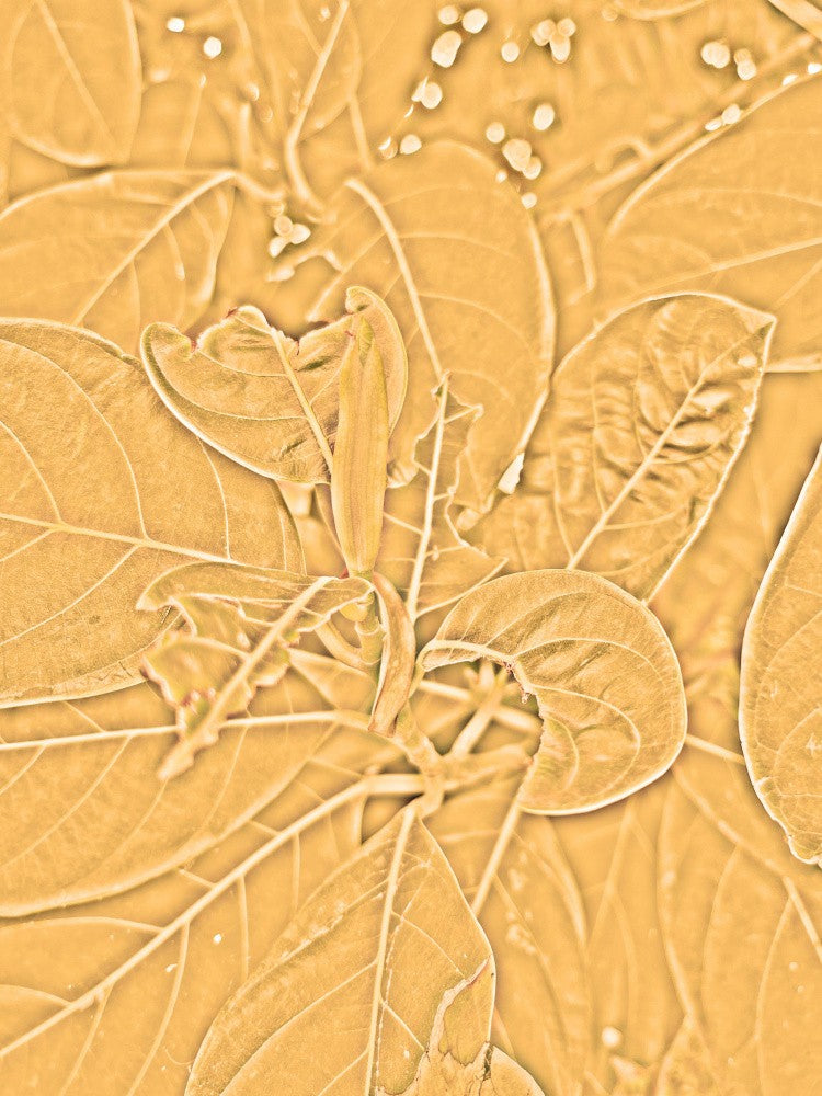 Golden Leaf Whispers