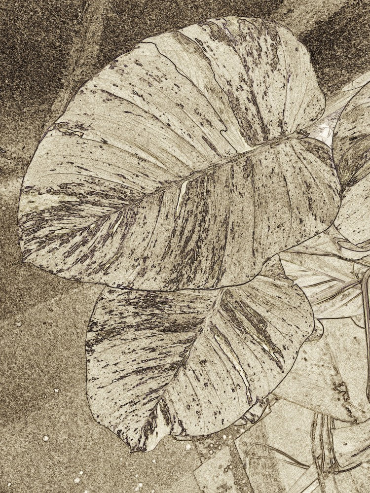 Textured Leaf Layers