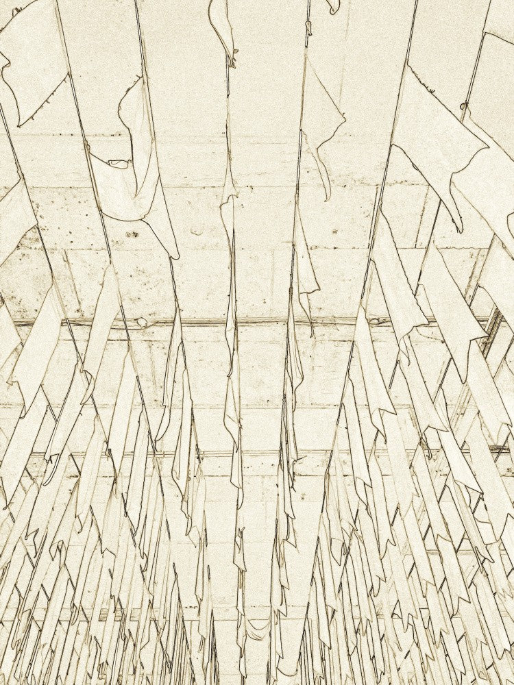 Canvas in Motion