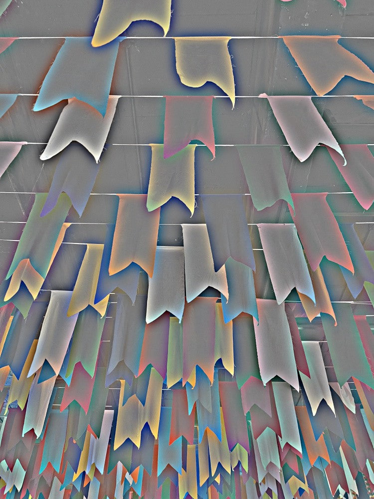 Vibrant Banners