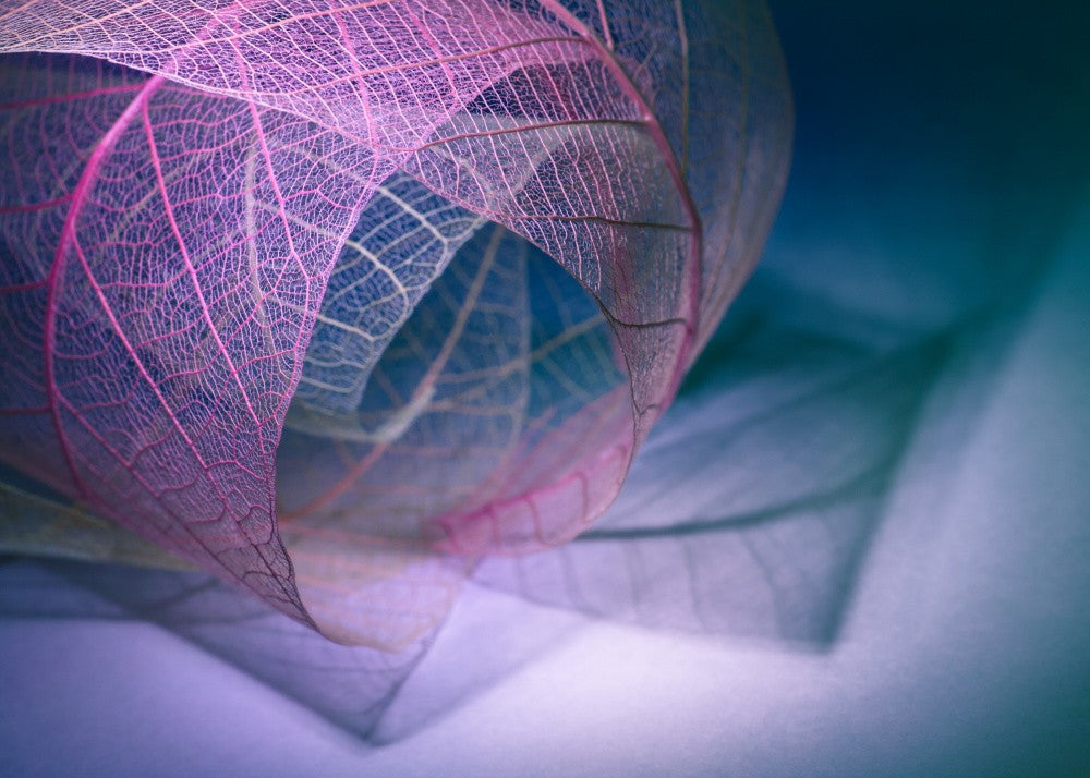 Fold
