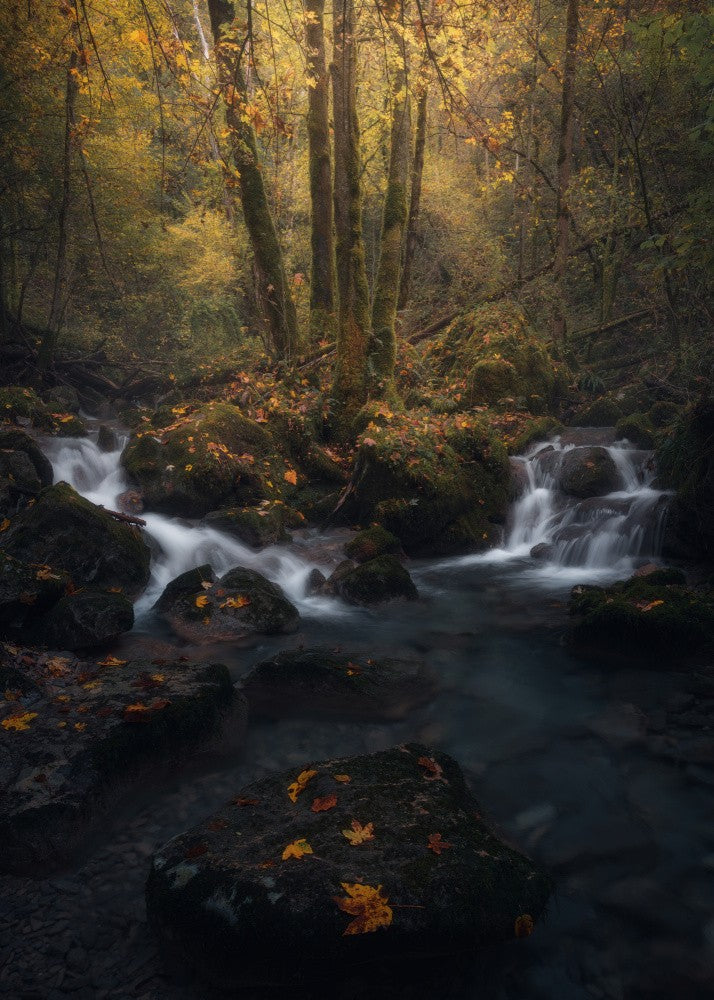 Autumn Impressions