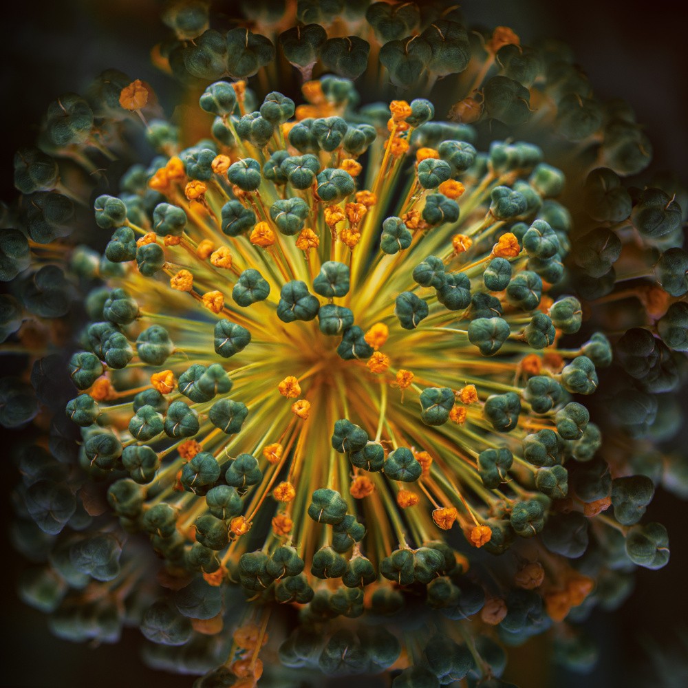 Kaleidoscope