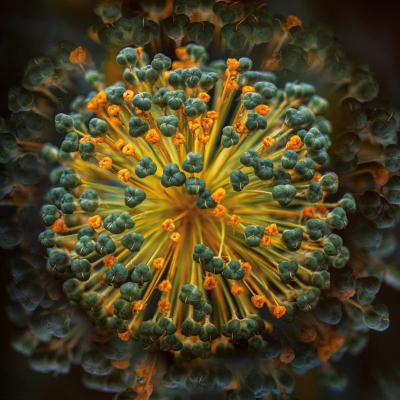 Kaleidoscope