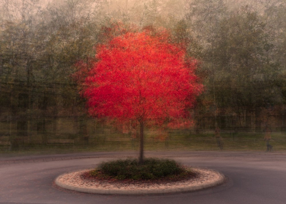 Fall