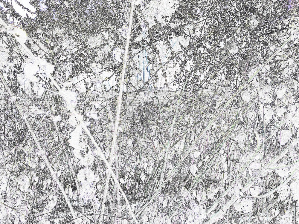 Whispering Garden