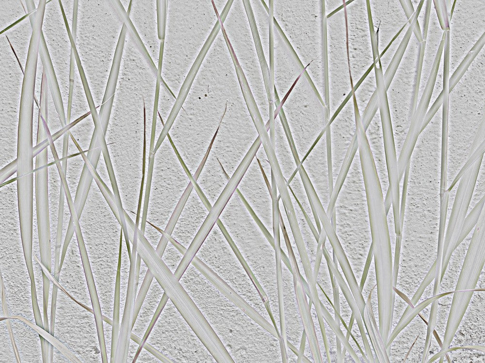 Flüsternde Linien