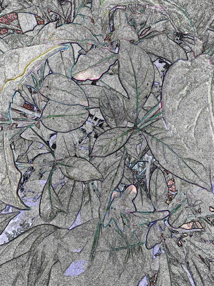Whispering Leaves