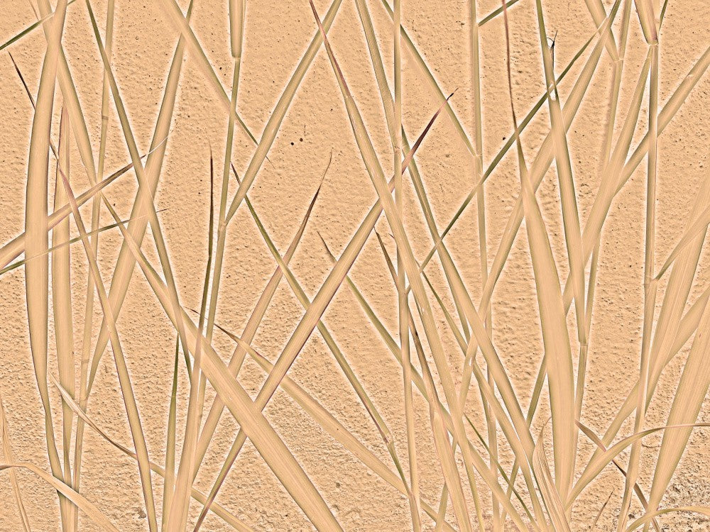 Tangling Stems