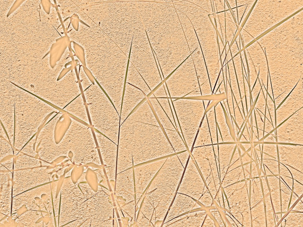 Textured Flora Scene