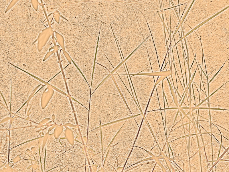 Textured Flora Scene